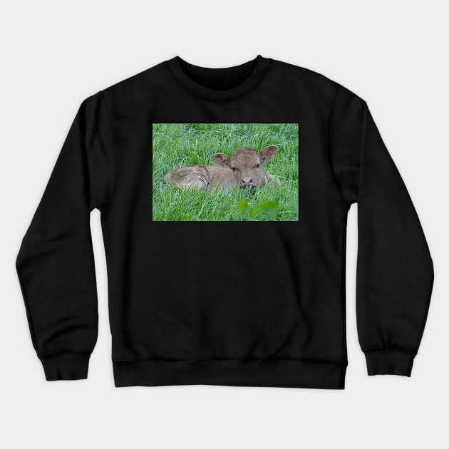 The Relative Newcomer Crewneck Sweatshirt by AH64D